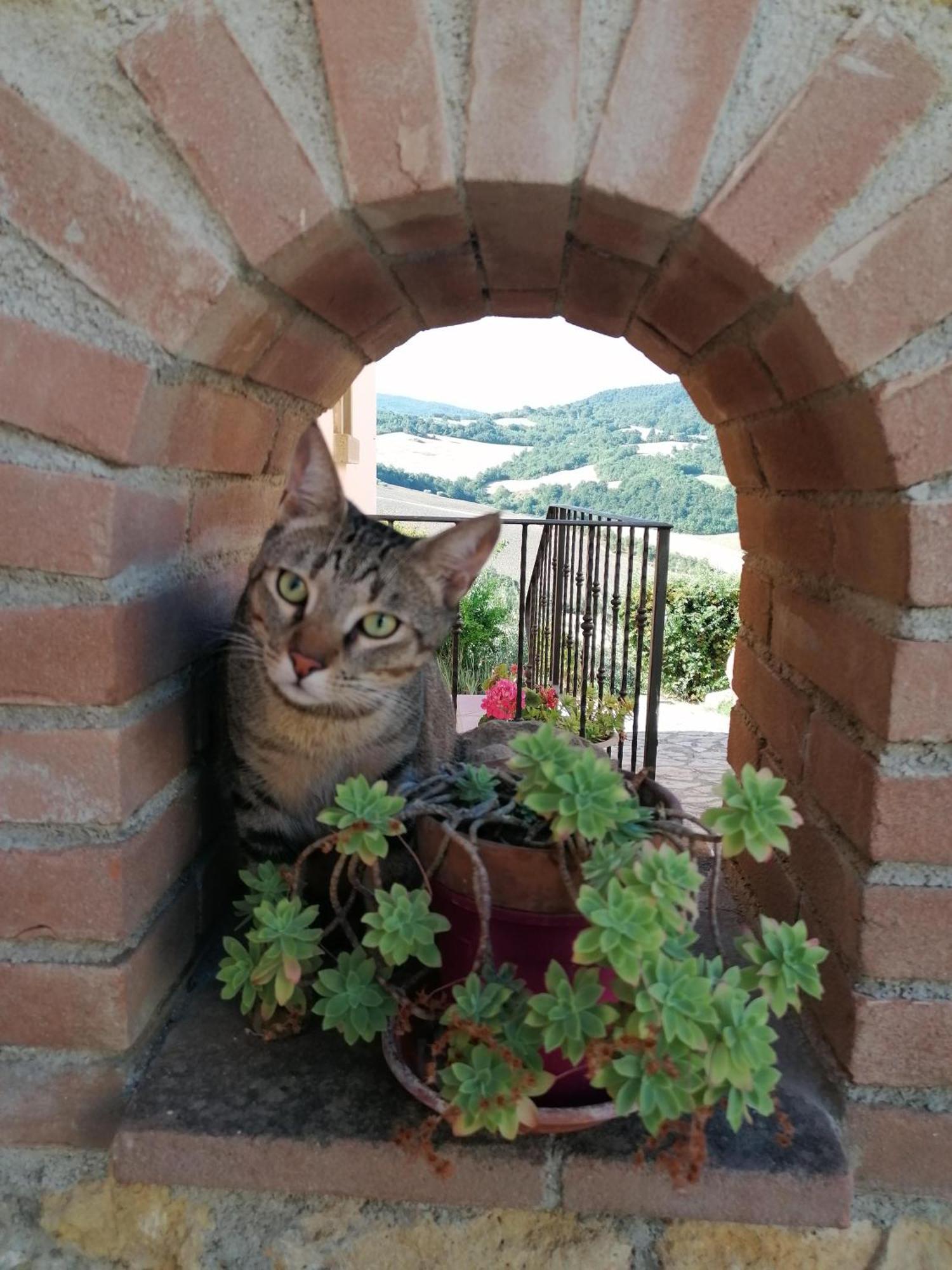 Residence Il Monastero Pomarance Dış mekan fotoğraf